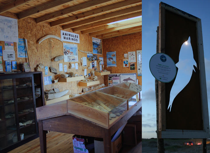 eco museo en Pinamar, fundación ecológica en Pinamar